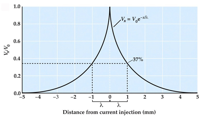 Cable Properties and Action potentials