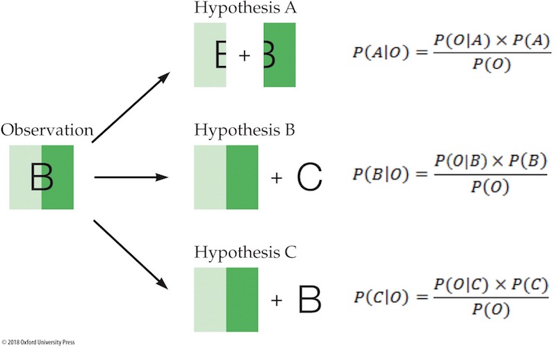 Web Essay 4.3 Bayesian Analysis